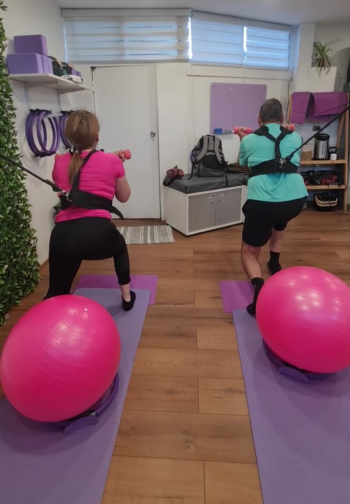 Metodología Elastic Training